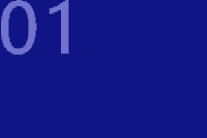 Years of industry experience